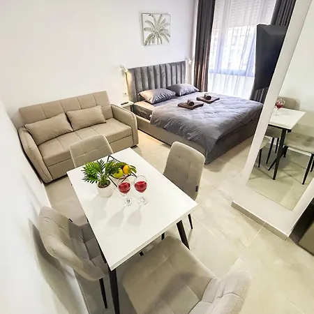 Garsoniere 1079 Apartment *
